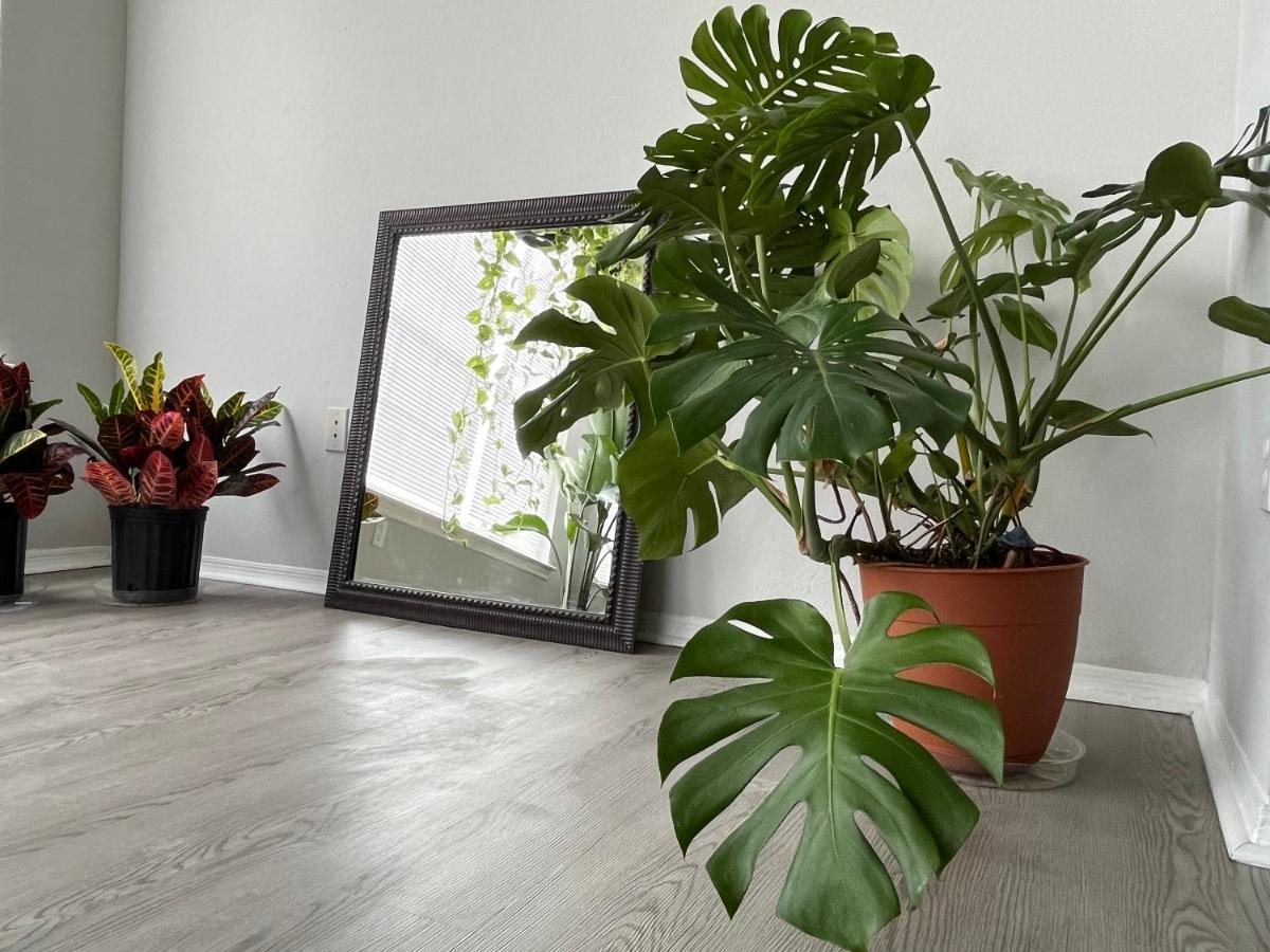 Next To Universal! 2Bedroom-2Bath-Many Indoor Plants Орландо Экстерьер фото